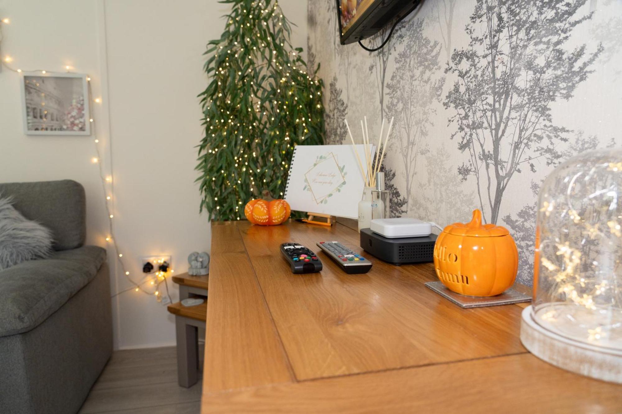 Lakeview Lodge, Builth Wells No Tradesmen Allowed エクステリア 写真